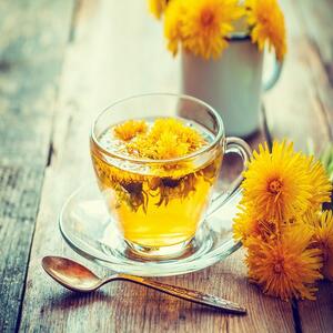 با خواص بی‌نظیر گیاه قاصدک برای پاکسازی کبد آشنا شوید + فیلم
