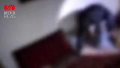 ببینید| ۶۰نفر از اتباع بیگانه فاقد مجوز قانونی در شاهرود دستگیر شدند