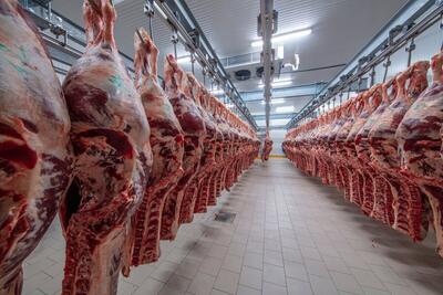 قیمت روز گوشت گوسفندی شنبه ۷ تیر ۱۴۰۴