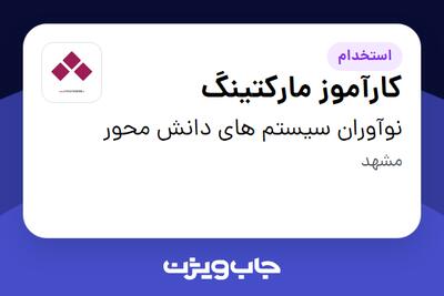 استخدام کارآموز مارکتینگ در نوآوران سیستم های دانش محور