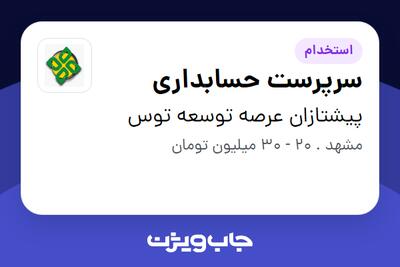 استخدام سرپرست حسابداری در پیشتازان عرصه توسعه توس