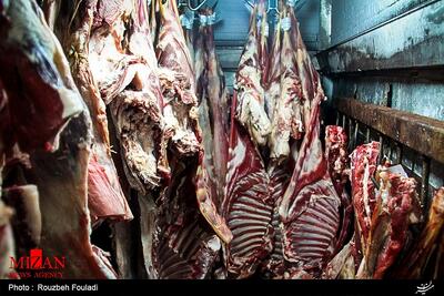 وضعیت مطلوب ذخایر گوشت در کشور؛ بازار دارای ثبات و عرضه پایدار است