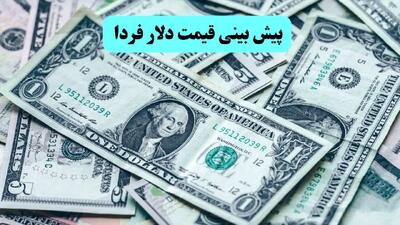 پیش بینی قیمت دلار فردا یکشنبه ۸ تیر ماه ۱۴۰۴ | تحلیل قیمت دلار امروز با توجه به اوضاع کنونی