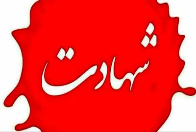 شهادت دانشجوی دانشگاه تهران به همراه همسر و سه فرزندش
