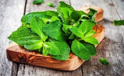 بهترین و موثرترین گیاه برای سلامت روده