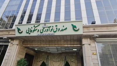 حمایت ویژه صندوق نوآوری و شکوفایی از شرکت‌های دانش‌بنیان آسیب‌دیده
