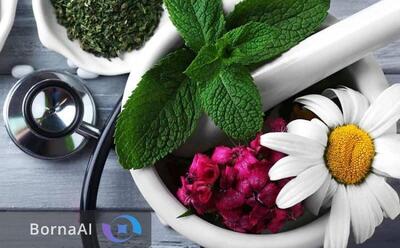 حمایت هدفمند برای توانمندسازی فعالان حوزه گیاهان دارویی