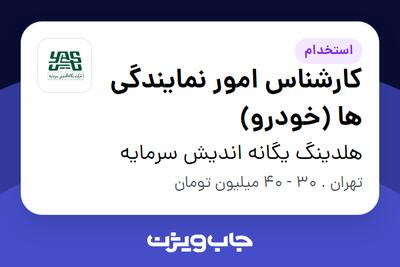 استخدام کارشناس امور نمایندگی ها (خودرو) در هلدینگ یگانه اندیش سرمایه
