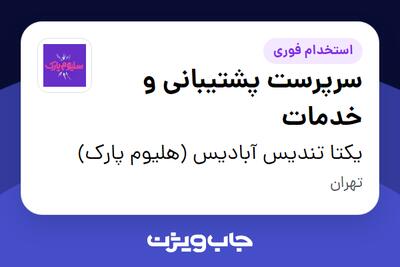 استخدام سرپرست پشتیبانی و خدمات - آقا در یکتا تندیس آبادیس (هلیوم پارک)