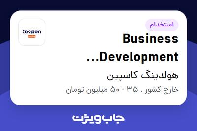 استخدام Business Development Manager در هولدینگ کاسپین