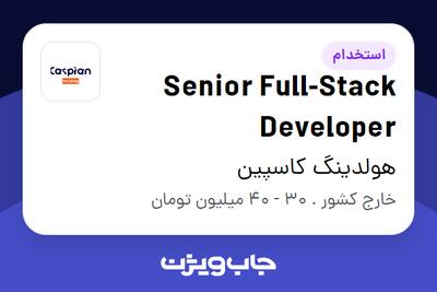 استخدام Senior Full-Stack Developer در هولدینگ کاسپین