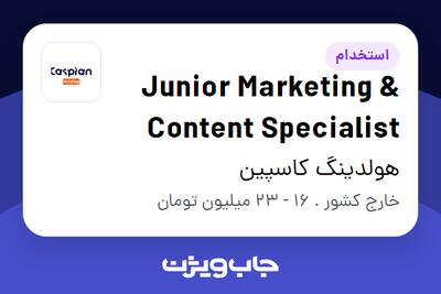 استخدام Junior Marketing   Content Specialist در هولدینگ کاسپین