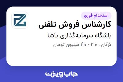 استخدام کارشناس فروش تلفنی در باشگاه سرمایه‌گذاری پاشا