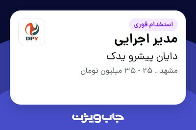 استخدام مدیر اجرایی در دایان پیشرو یدک