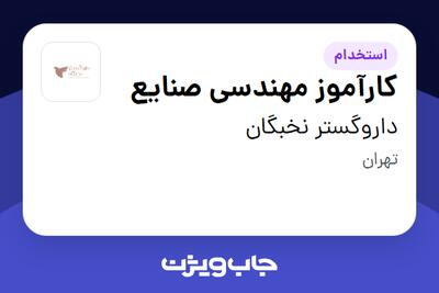 استخدام کارآموز مهندسی صنایع در داروگستر نخبگان