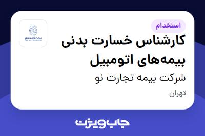 استخدام کارشناس خسارت بدنی بیمه‌های اتومبیل - آقا در شرکت بیمه تجارت نو