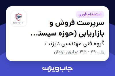 استخدام سرپرست فروش و بازاریابی (حوزه سیستم های حفاظتی و امنیتی) در گروه فنی مهندسی دیزنت