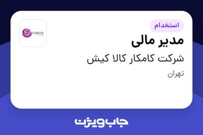 استخدام مدیر مالی در شرکت کامکار کالا کیش
