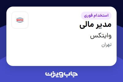 استخدام مدیر مالی در وایتکس