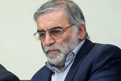 بعد از شهادت فخری‌ زاده، دنبال بررسی لایه‌های نفوذ نرفتیم