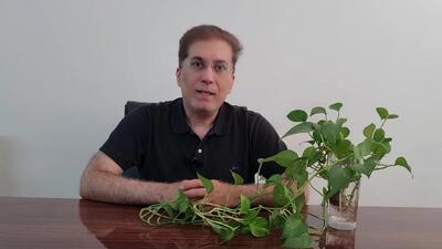 کالابرگ دهک های ۴ تا ۷ کی واریز می شود؟ + ویدئو