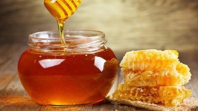 اثبات خاصیت ضدباکتریایی عسل استرالیایی
