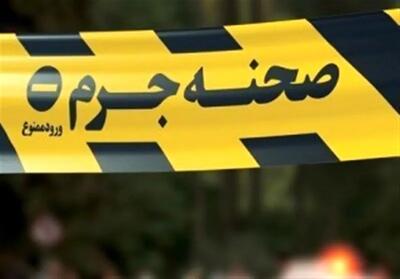 جزئیات قتل سروش ستوده در خیابان ولنجک