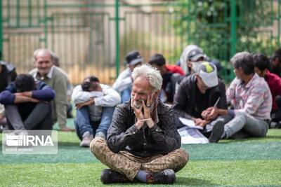 جمع‌آوری مناسبتی معتادان در قزوین؛ لزوم اصلاح قوانین