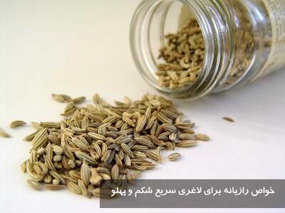 خواص رازیانه برای لاغری سریع شکم + طریقه و بهترین زمان مصرف رازیانه برای لاغری