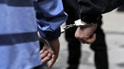 دستگیری عاملان حمایت از رژیم صهیونیستی و تحریک به اغتشاش
