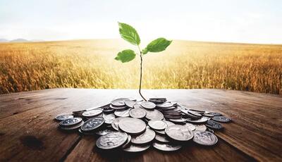 سرمایه بانک کشاورزی ۷۰ همت افزایش می یابد