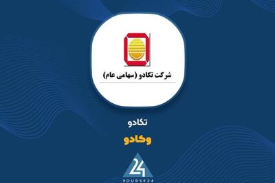 تغییرات پرتفوی «وکادو» در خرداد ماه