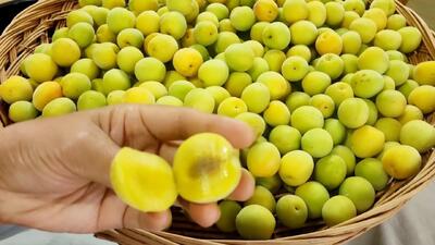 آلوها را اینگونه بخورید!! برای یک عمر سالم و شاد خواهید بود