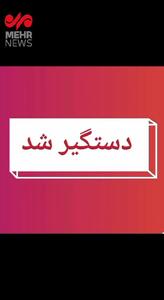 دستگیری عاملان حمایت از اسرائیل و تحریک به اغتشاش