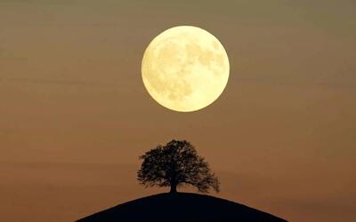 تفال به حافظ دوشنبه 9تیر 1404؛ به چشم کرده‌ام ابروی ماه سیمایی....