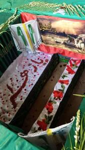 پیکر شهید «غلامعلی رشید» در جایگاه ابدی‌ آرام گرفت