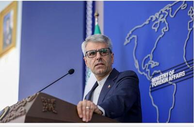 بقائی: ایران بازداشت اتباعش در آمریکا را نژادپرستانه می‌داند