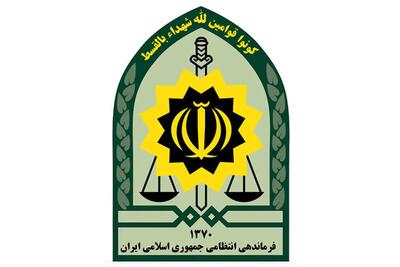 دستگیری عاملان حمایت از رژیم صهیونیستی و تحریک به اغتشاش