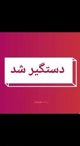 دستگیری یک نفر از اراذل و اوباش به اتهام تحریک جهت حمله به نیروهای امنیتی و نظامی و ایجاد ناامنی در جامعه + فیلم