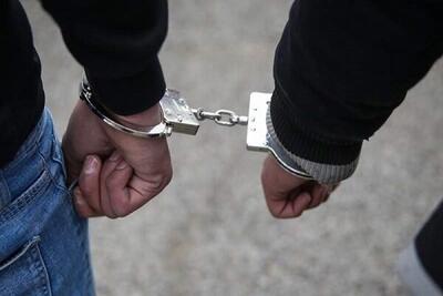عامل نزاع دسته جمعی در محله پیروزی تهران دستگیر شد