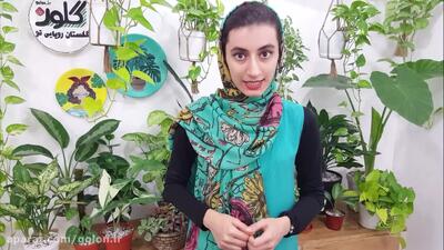 ریزنکات تعویض خاک و گلدان گل و گیاه