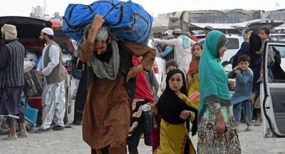 اهمیت طرد اتباع افغانی غیرمجاز | جهان نیوز