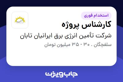 استخدام کارشناس پروژه - آقا در شرکت تأمین انرژی برق ایرانیان تابان