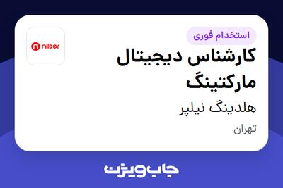 استخدام کارشناس دیجیتال مارکتینگ در هلدینگ نیلپر