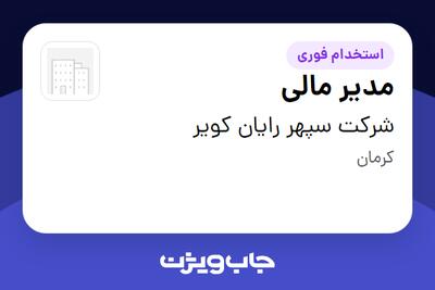 استخدام مدیر مالی در شرکت سپهر رایان کویر