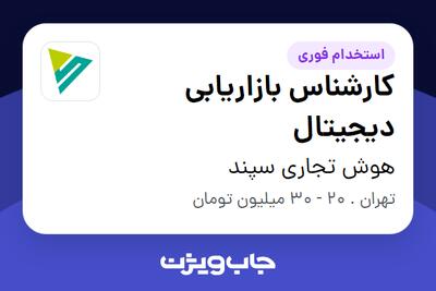 استخدام کارشناس بازاریابی دیجیتال در هوش تجاری سپند