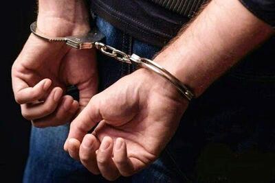 دستگیری فرد وطن‌فروش و حامی رژیم صهیونیستی در جنگ ۱۲ روزه/ ویدئو