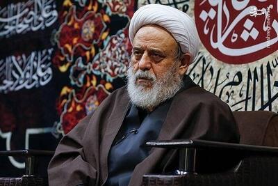 شیعه کسی است که قانع به لقمه حلال است/ گریه ای که گناه را پاک می کند