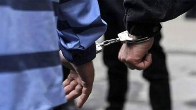 دستگیری عامل تحریک به اغتشاش در جنگ ۱۲ روزه