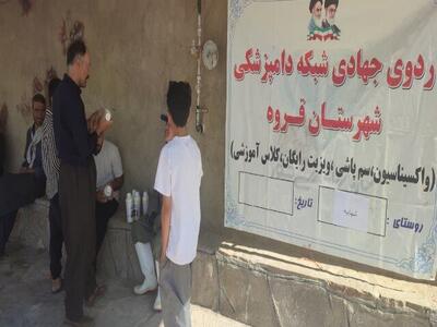 اردوی جهادی دامپزشکی در روستای شهابیه قروه برگزار شد